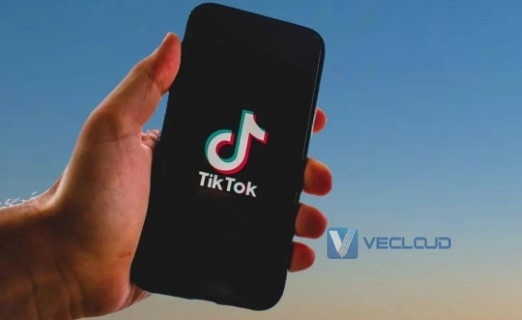 TikTok原生ip对流量有没有影响？如何查看是不是原生ip-新闻-TikTok专线网络节点 | 专业TikTok网络代理服务商 - JiSu