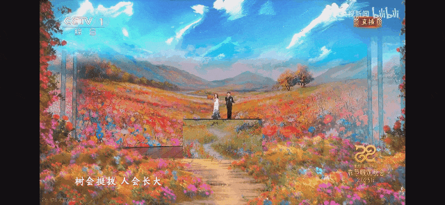海外跨境直播_直播跨境电商_跨境直播节点