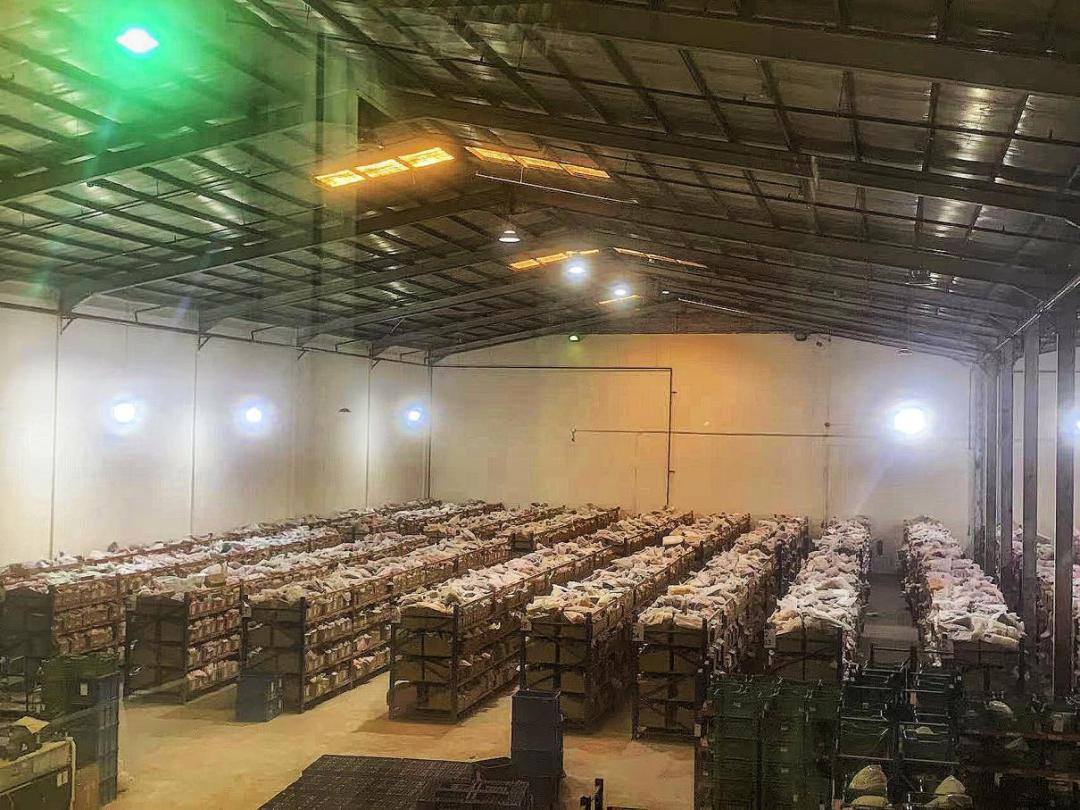 沙特tiktok加速_沙特加速电动汽车转型_沙特加速器
