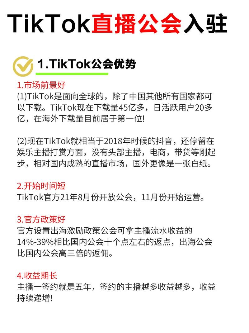 tiktok巴西地区娱乐公会申请指南及网络市场分析-新闻-TikTok专线网络节点 | 专业TikTok网络代理服务商 - JiSu