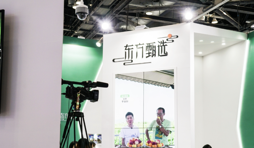 在新加坡怎么开直播_tiktok新加坡直播加速_新加坡fb直播下载