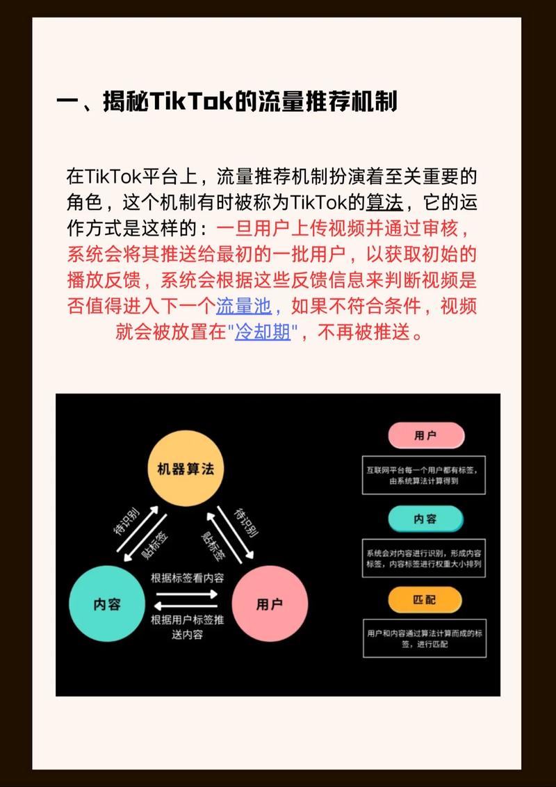  TikTok流量提升方法 __法国tiktok专线加速