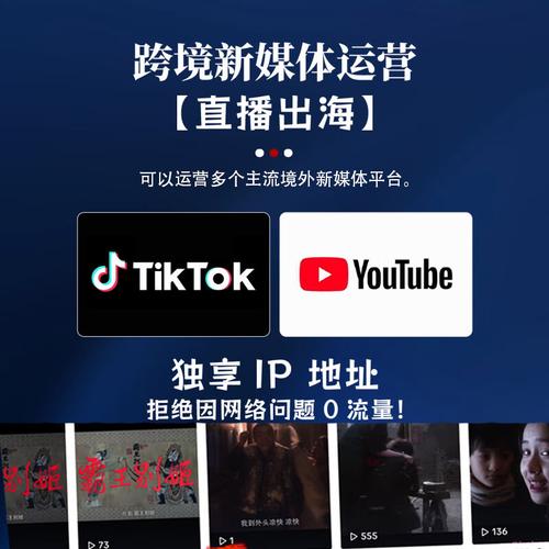 跨境电商TikTok直播加速解决方案_跨境短视频平台养号服务_tiktok新加坡直播专线