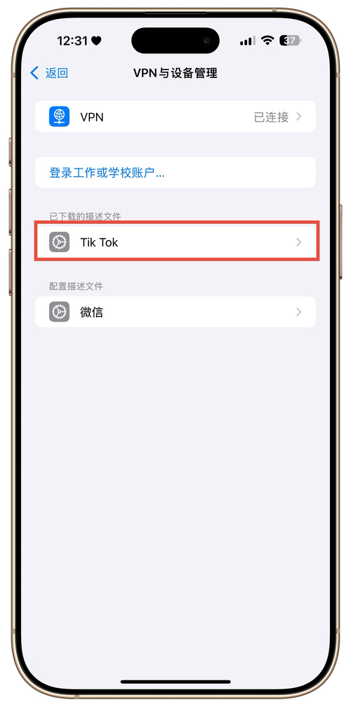 TikTok下载安装步骤_TikTok创作者变现途径_tiktok巴西直播专线