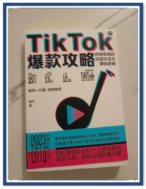 保卫TikTok：谁在接这烫手的流量？-新闻-TikTok专线网络节点 | 专业TikTok网络代理服务商 - JiSu