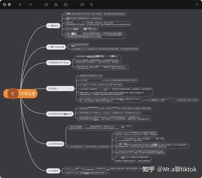 tiktok迪拜直播加速_tiktok跨境电商安装教程 _ iOS安卓TikTok下载方法 